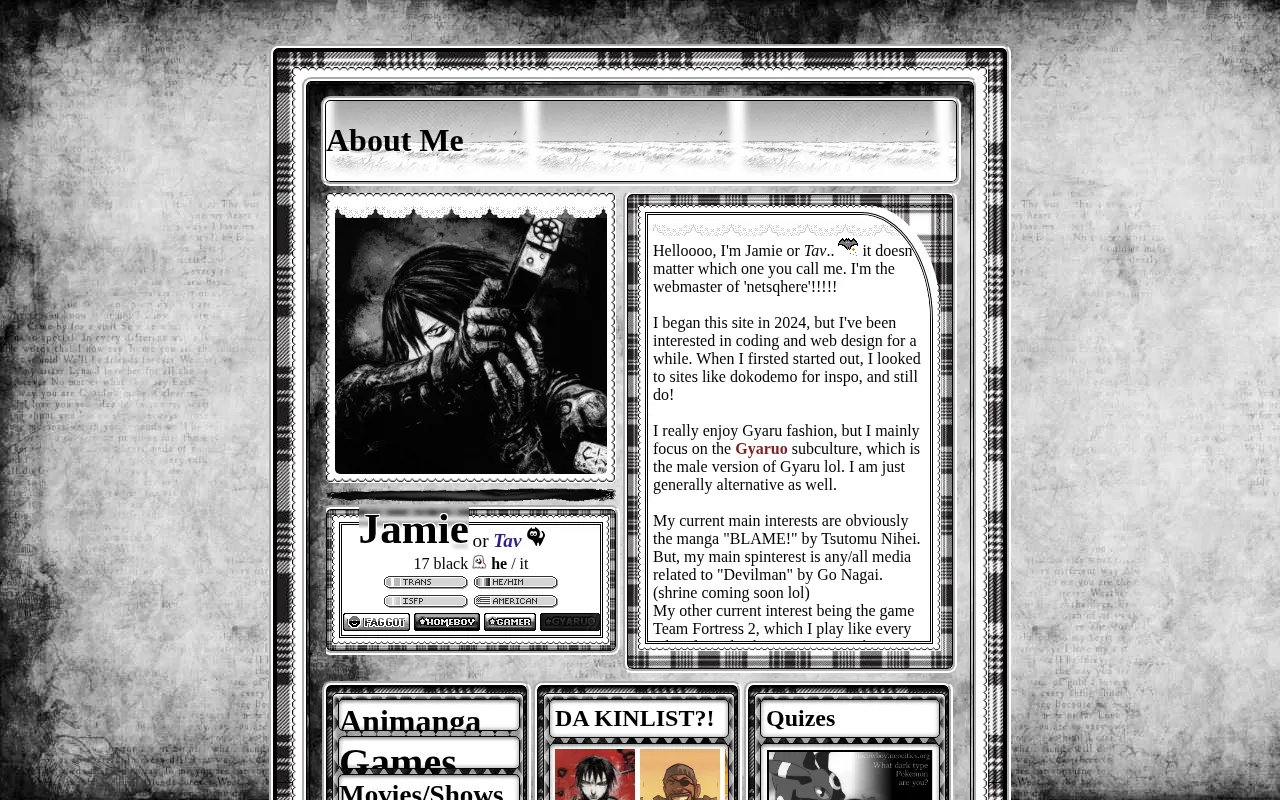 Attachments/design-gem-netsqhere-about.png